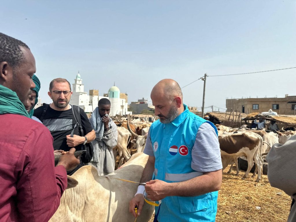 Kurban (offers)